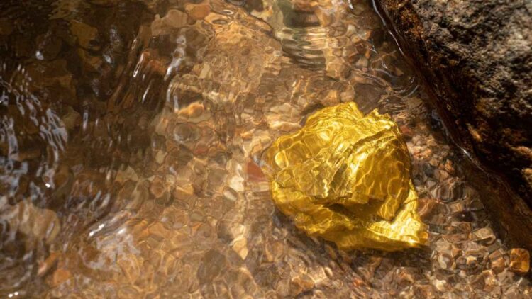 Un gigante dorado que impulsa el futuro de México