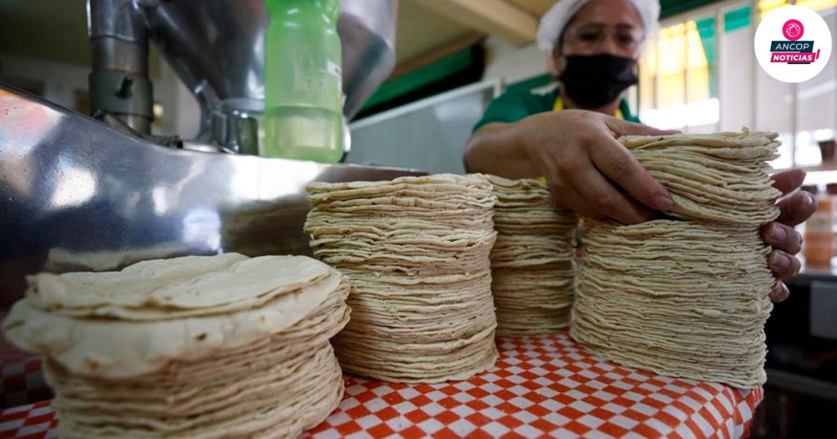 Nuevos retos para el bolsillo en la mesa mexicana