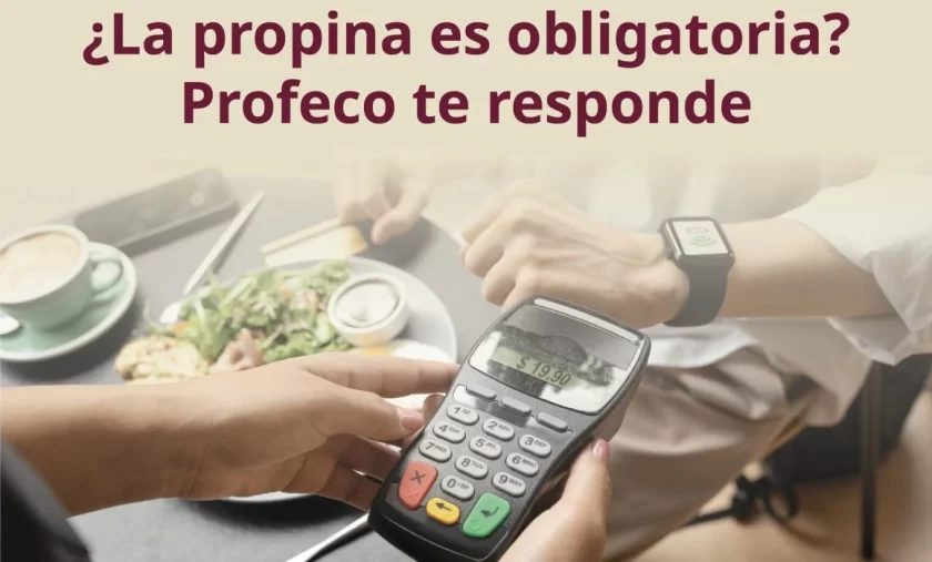 ¿No te respetaron el precio? ¿Te obligaron a pagar propina? Denúncialo, la Profeco te protege