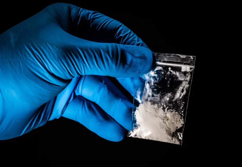 Sheinbaum endurece la lucha contra el narcotráfico: aumentan decomisos de fentanilo y explosivos
