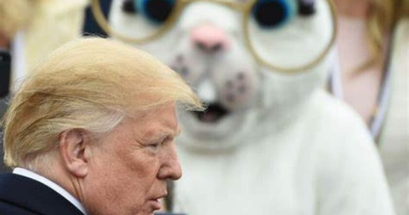 Pascua de Donald Trump