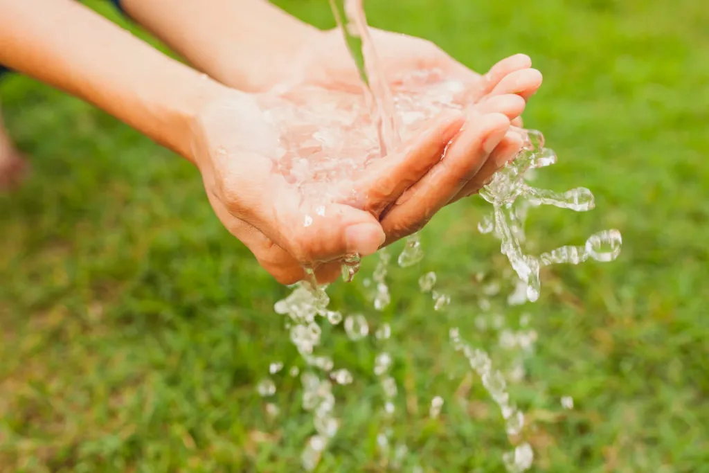 Agua