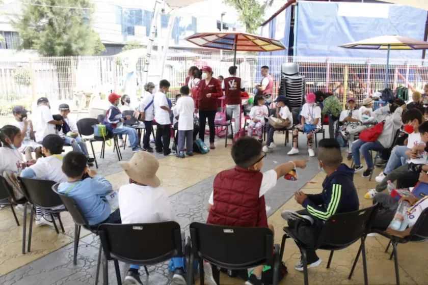 curso de verano
