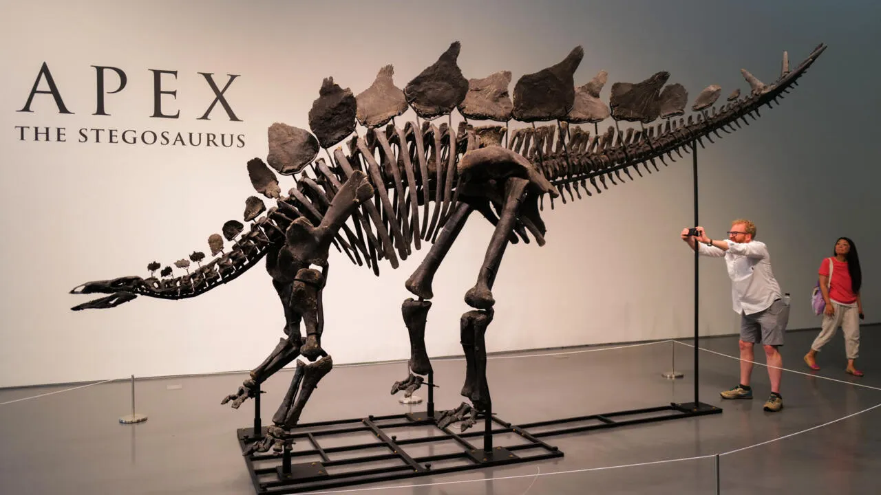 fósil de dinosaurio