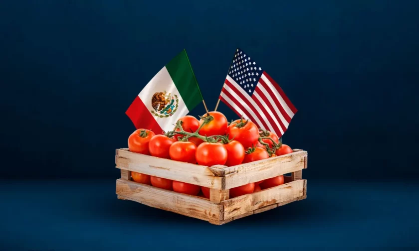 tomate mexicano