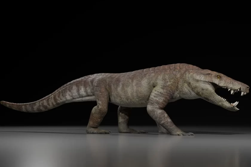 supercocodrilo