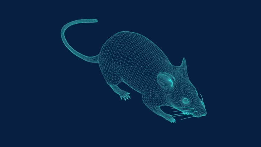 Ratty