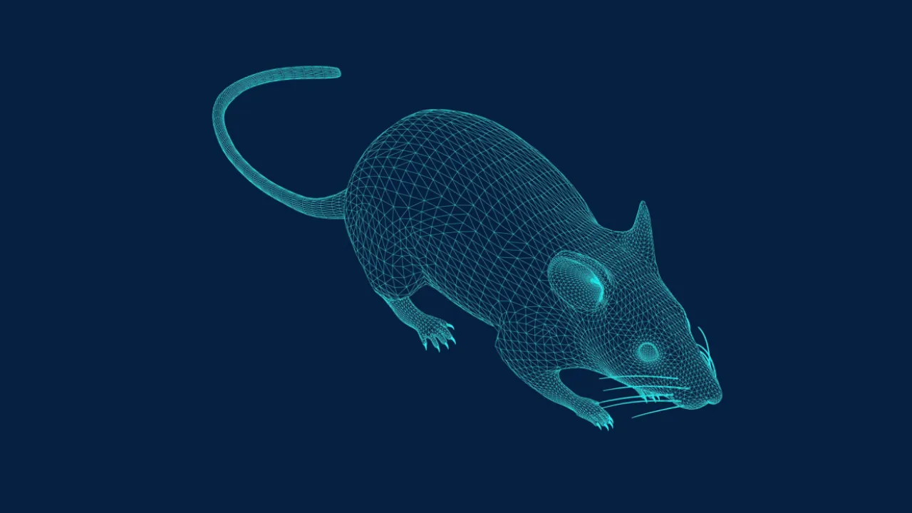 Ratty
