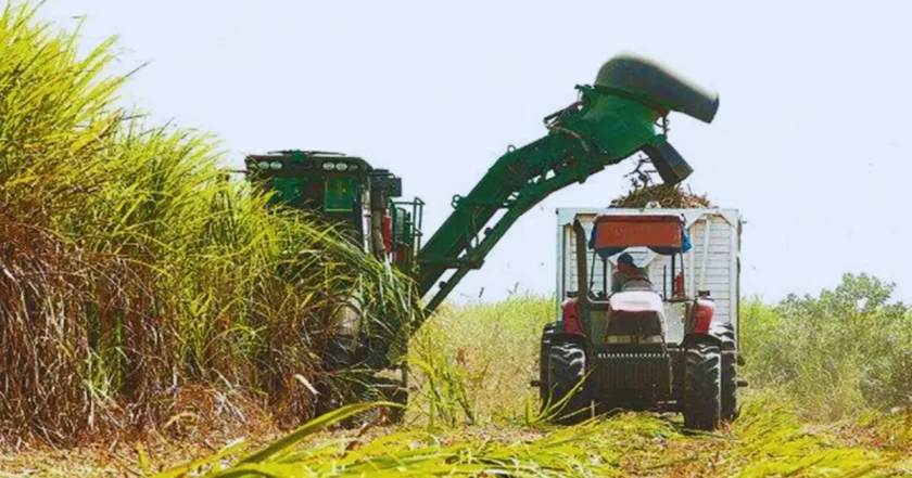 ector azucarero respalda aumento arancelario