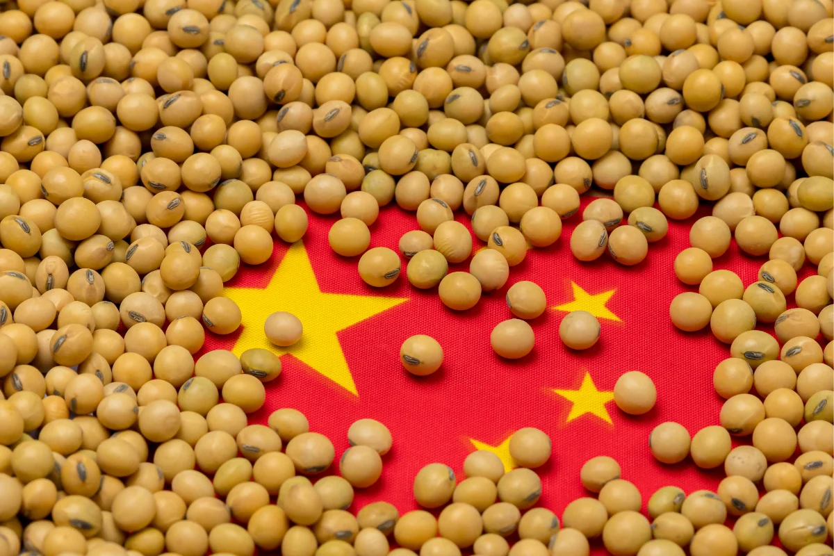 China prohíbe exportaciones de soya
