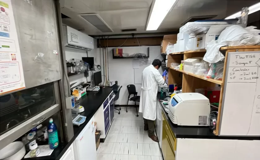 SECIHTI: Restricción académica provoca falta de becas científicas