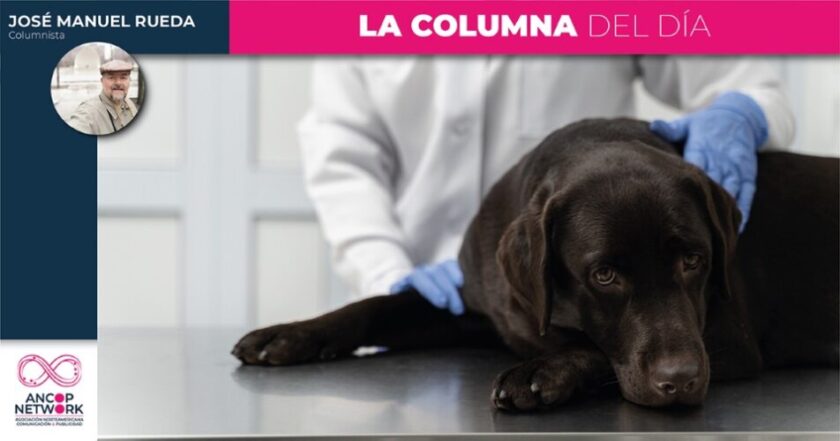 Ahora hasta los animales se quedan sin medicinas