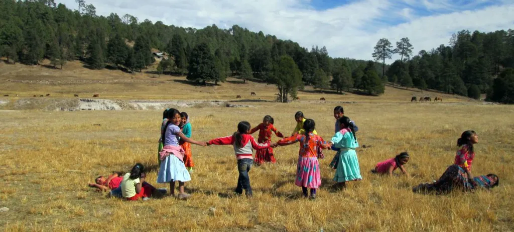 Refuerzan vigilancia con cámaras de seguridad en la sierra