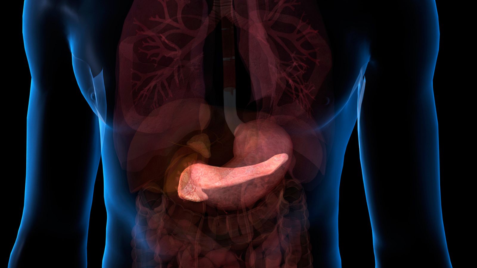 páncreas artificial