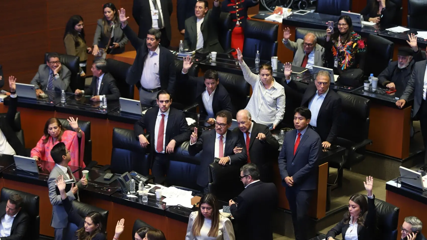 SENADO