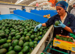 Economía impulsada con construcción, agricultura y comercio crece 2.3% en México