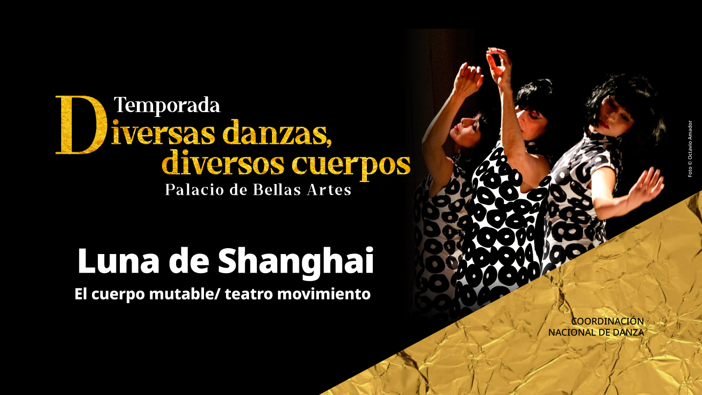 Luna de Shanghai 2026