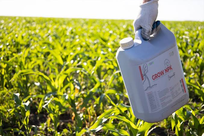 FERTILIZANTES