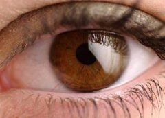 Cuidar tus ojos también es cuidar tu salud: hábitos que protegen la visión  