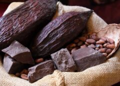 Bolivia impulsa una estrategia nacional para llevar su cacao silvestre a nuevos mercados 