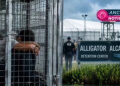 Migrantes enjaulados: el rostro más oscuro de Alligator Alcatraz Migrantes enjaulados: el rostro más oscuro de Alligator Alcatraz