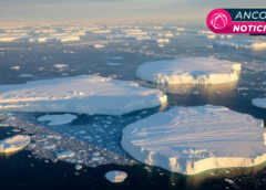 La Tierra pierde hielo a un ritmo alarmante: Groenlandia y la Antártida elevan el nivel del mar 