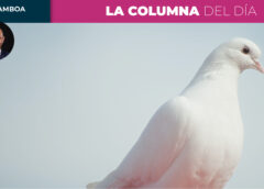 La urgencia de la paz 