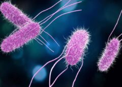 Reportan brote de salmonella en el Hospital General de México que afecta a personal médico