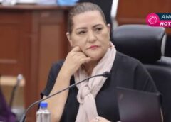 El escudo retórico y las falacias argumentativas de Guadalupe Taddei 