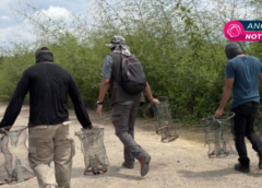 Protección de la biodiversidad: cámaras registran actividades sospechosas en Vallarta