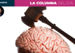 Neuroderechos y elecciones: proteger la libertad de decidir 